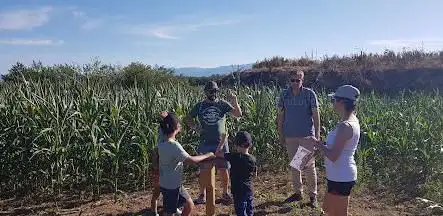 Corn Lanta Genève