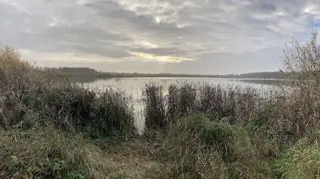 Photo de Crowle Moors