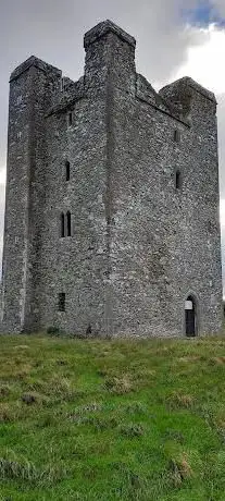 Photo de Roodstown Castle