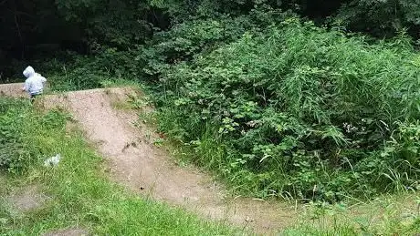 Photo de Lime Pits Wood