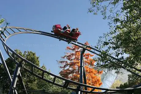 Photo de Les Speed Rockets