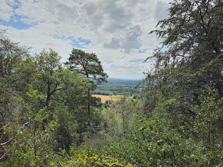 Photo de Hascombe Hill