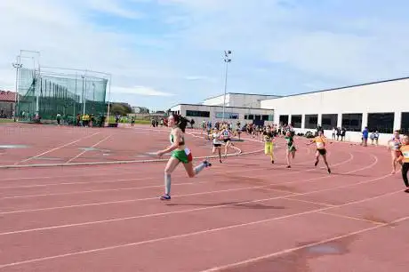 Photo de Pista de Atletismo Del Complejo Deportivo Municipal Ruth Beitia.