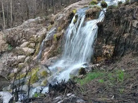 Fervenza Fridauga