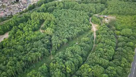 Photo de The Meads Community Woodland