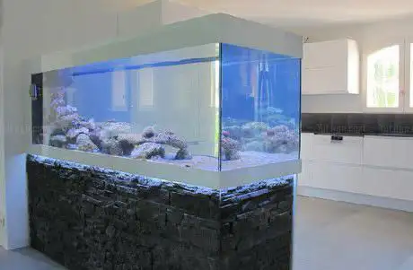 Photo de L Odyssee Aquarium