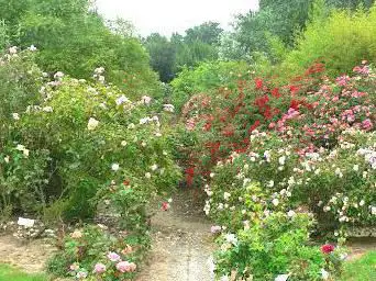 Photo de La Roseraie de Vendée