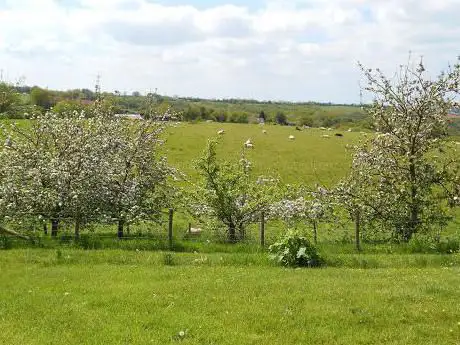 Hollowmoor Farm