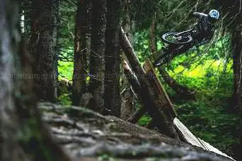 Photo de BikePark Châtel
