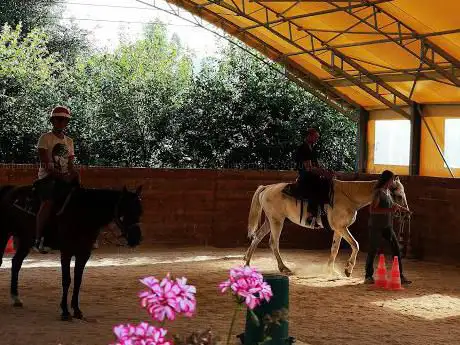 Margarete Horse Ranch