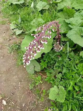 Wandelknooppunt 91