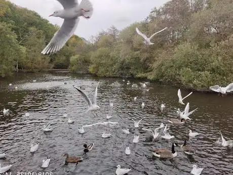 Sophieâ??s Pond