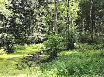 Parc naturel du Jorat