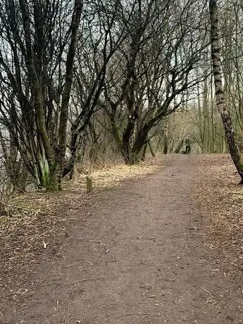 Photo de Linear Park
