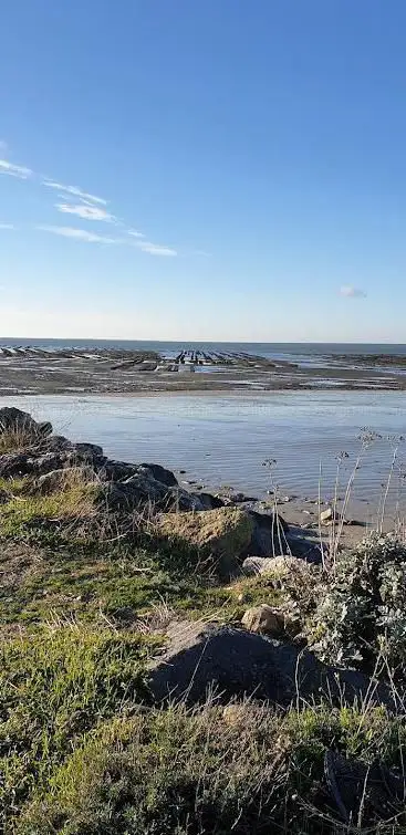 Photo de Plage d'ars en ré
