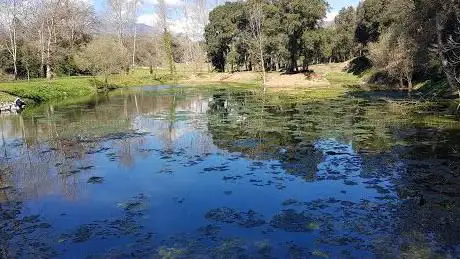 Photo de Llacuna de Can Ribalta (AIRA GRUP)