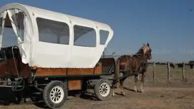 Photo de Calèche Camargue