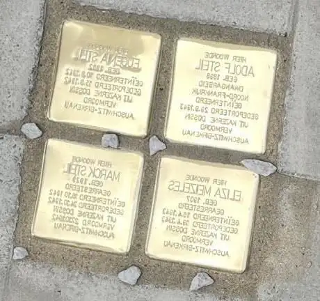Stolpersteine for Marck Steil  Adolf Steil, Eugenia Stell, and Eliza Meizeles