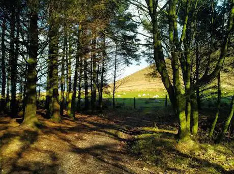Photo de Forest of Pendle on Maps.