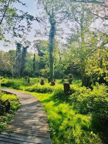 Photo de Donkey Wood