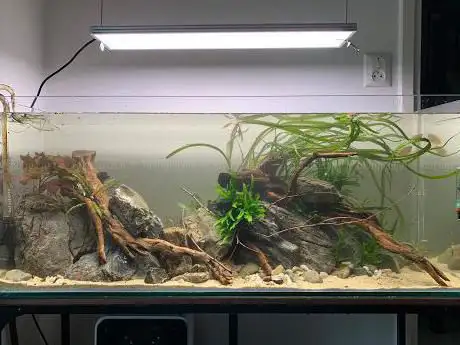 Photo de Aquaria van wolferen