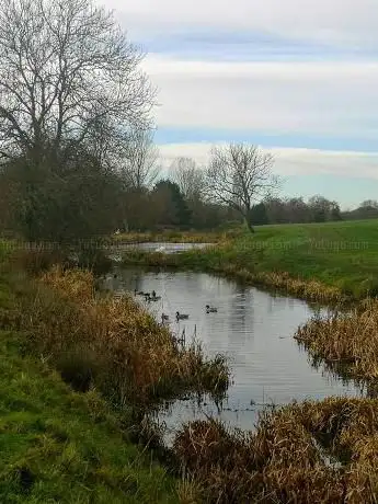 Goosard Batch Nature Reserve