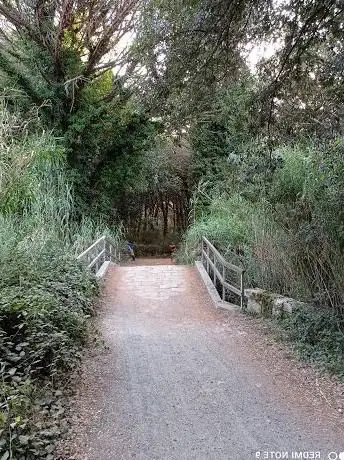 Riserva naturale Tomboli di Cecina INGRESSO SUD