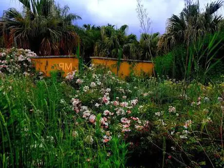 Photo de Parque botánico de Salou