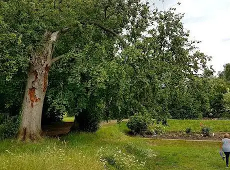 Photo de Cudham Lane Recreation Ground (North)