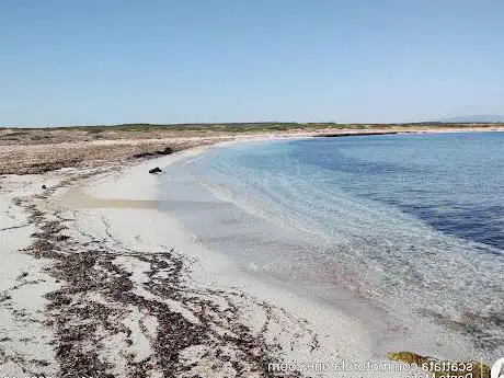 Punta Maimoni