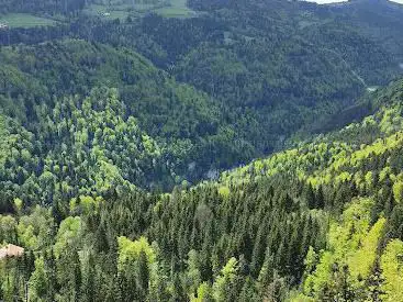 Photo de Sur Les Roches