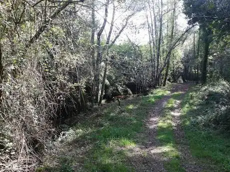 Photo de Aula aberta da natureza do rÃo Furnia
