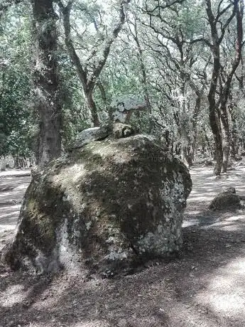 Monte S Antonio