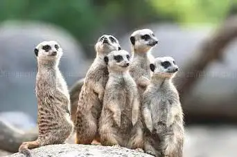Zoo Basel