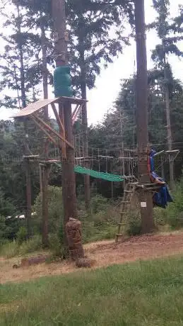 Photo de Au Fil des Arbres