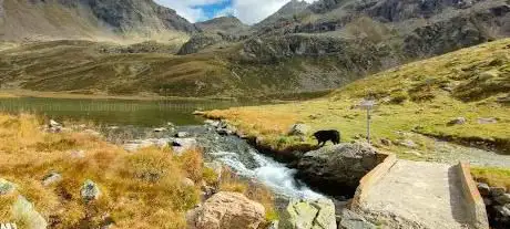 Photo de Laghi di Tres