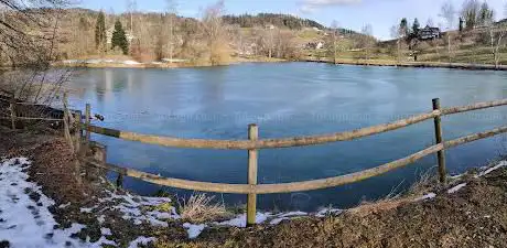 Ringwiler Weiher