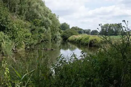 Photo de Wijgmaalbroek Natuurpunt