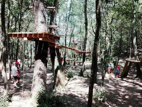 Photo de Il Tasso Scatenato - Parco Avventura di Maremma