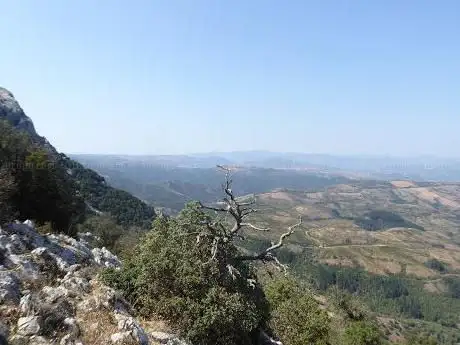 Punta Catirina