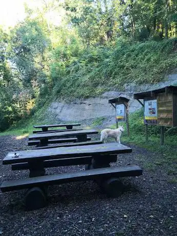 Photo de Affioramento argilla (Parco valle della Motta)