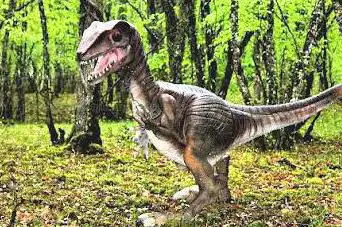 Photo de Parc aux Dinosaures Dordogne