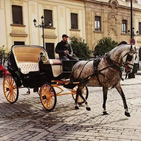 Photo de COCHES DE CABALLOS SEVILLA IVAN