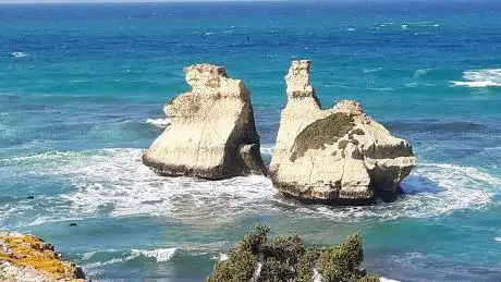 Photo de Area Naturale Pineta Costiera di Torre dell'Orso