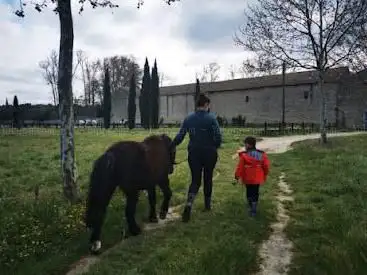 Photo de Centre d'équitation de Mallemort