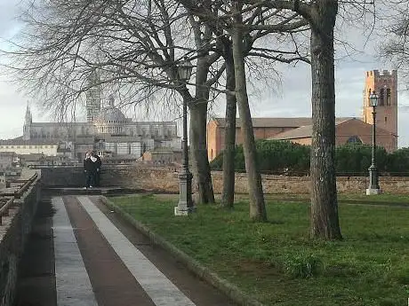 Photo de Ulivo dei 30 zoccoli - proprieta privata
