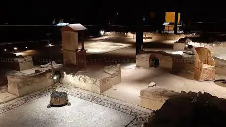 Photo de Casa dels Dofins - Museu de Badalona