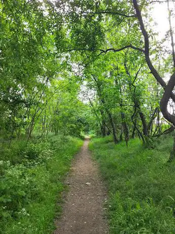 Parco Del Roccolo