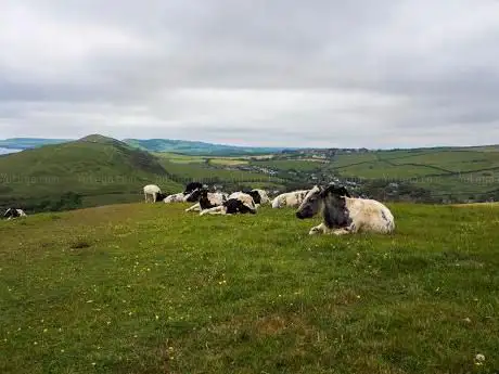 Photo de Hilltop â€” West Lulworth
