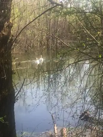Photo de Reserve naturelle de Beaune